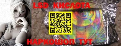 прущие грибы Севастополь