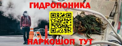 прущие грибы Севастополь