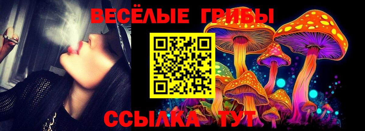 Галлюциногенные грибы GOLDEN TEACHER  Вход с VPN  Новый Уренгой 