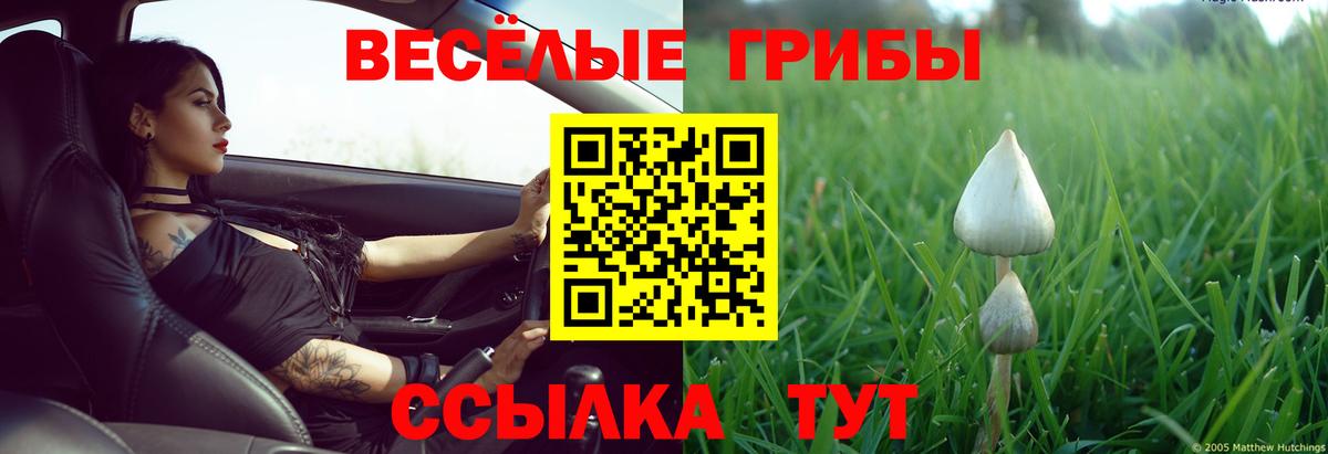 Галлюциногенные грибы Psilocybe Новый Уренгой